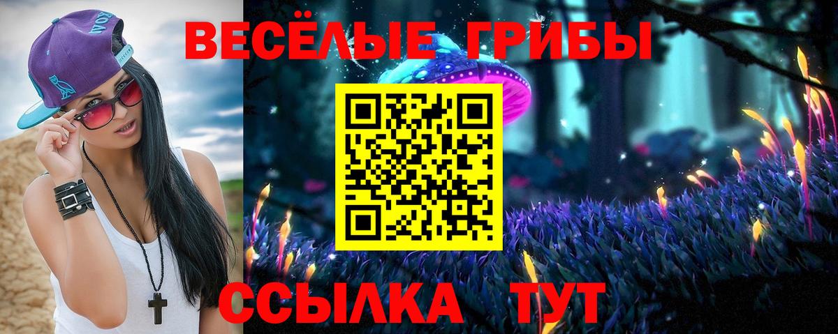 Псилоцибиновые грибы мухоморы Каменск-Шахтинский