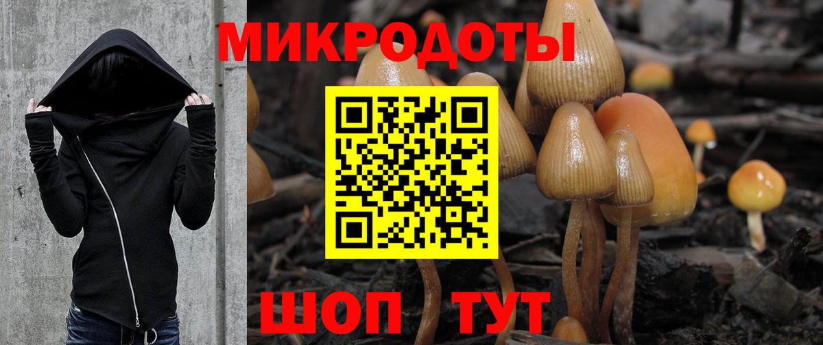 Каменск-Шахтинский  Псилоцибиновые грибы Psilocybe  Псилоцибиновые грибы мицелий  Вход с VPN 